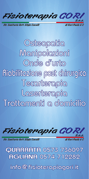 FISIOTERAPIA GORI